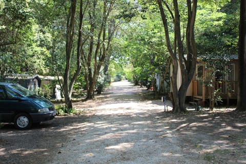 Camping de la Chapelette Campground/ 
RV Resort in Arles