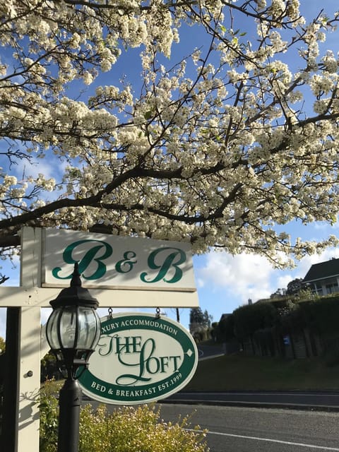 The Loft Bed and Breakfast Bed and Breakfast in Taupo