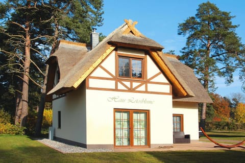 Ferienhaus Lotusblume in Zirchow House in Zirchow