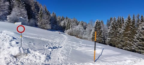 Ferienwohnung Tschengla mit eigener Sonnenterrasse - Wiese - Wlan - Netflix Apartment in Bürserberg
