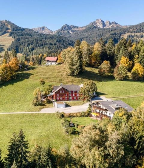 Ferienwohnung Tschengla mit eigener Sonnenterrasse - Wiese - Wlan - Netflix Apartment in Bürserberg