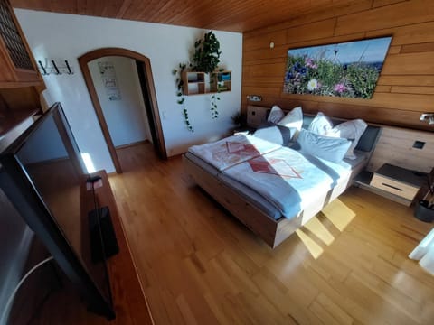 Ferienwohnung Tschengla mit eigener Sonnenterrasse - Wiese - Wlan - Netflix Condo in Bürserberg