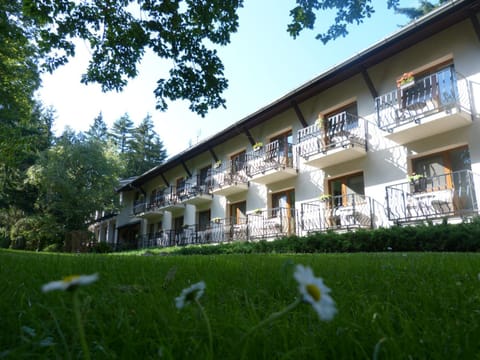 Property building, Day, Summer, Garden