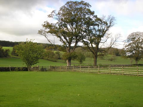 Day, Natural landscape, Autumn, On site, Garden view