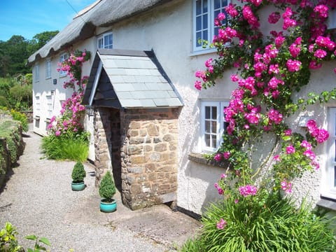 Fernside Bed and Breakfast Bed and Breakfast in North Devon District