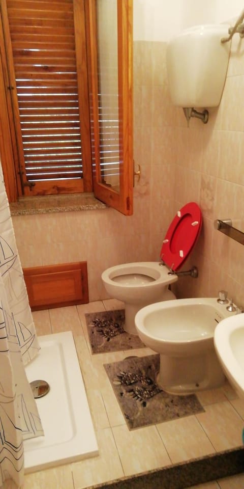 Shower, Bathroom, bidet