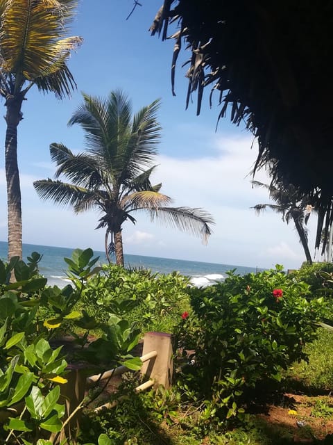 Garden, Sea view