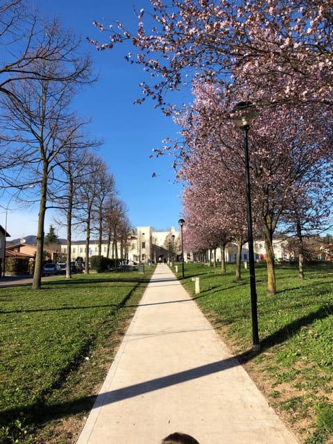 Spring, Neighbourhood, Natural landscape, Children play ground, Cycling