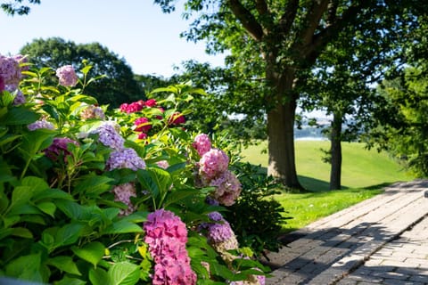 Natural landscape, Garden, Garden view