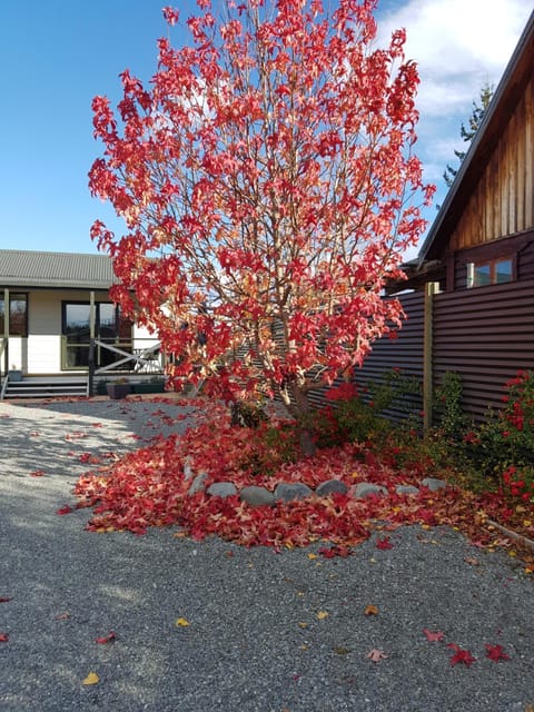 Rosedale Cottages Casa in Twizel