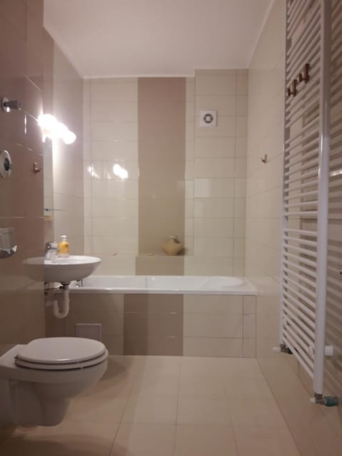 Apartament. Anida Apartment in Brasov