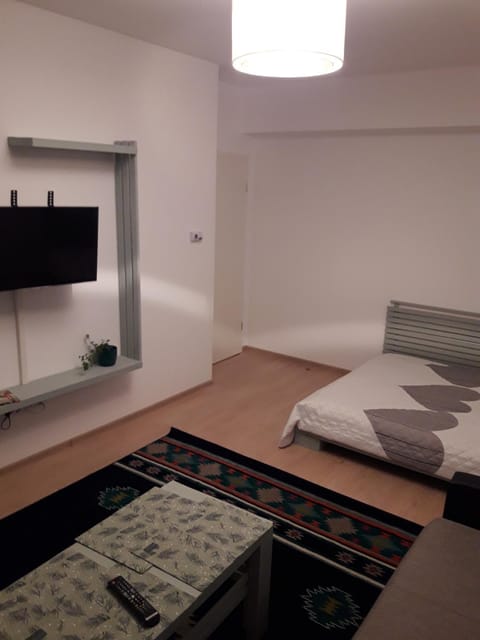 Apartament. Anida Apartment in Brasov