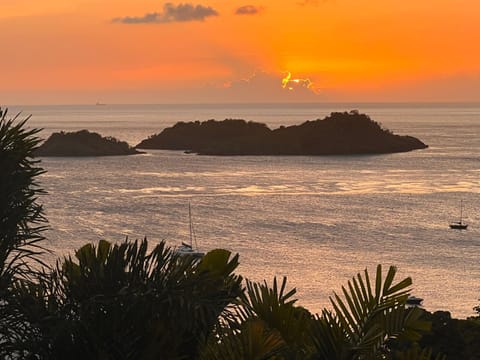 Sunset Palm - Villa Créole avec piscine face au coucher de soleil et à la réserve Cousteau Chalet in Bouillante