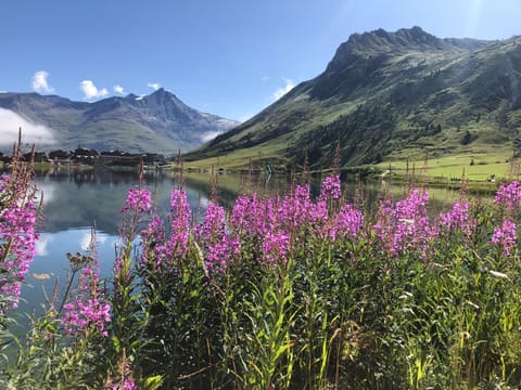 Phoenix 101 Apartamento in Tignes