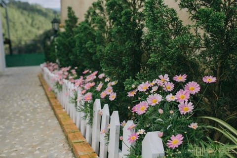 The Windy Da Lat Hotel in Dalat