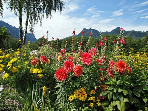 Gästehaus Koyerbauer Boardinghouse Farm Stay in Aschau im Chiemgau