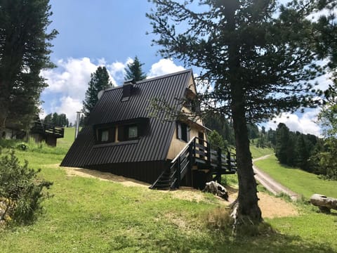 Chalet Paoletta - Alpe Cermis Chalet in Trentino-South Tyrol