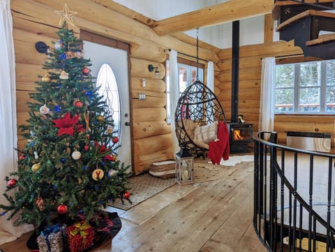 Winter, Living room, fireplace