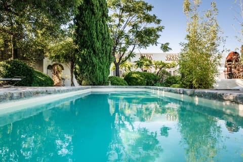 Garden, Garden view, Swimming pool, sunbed