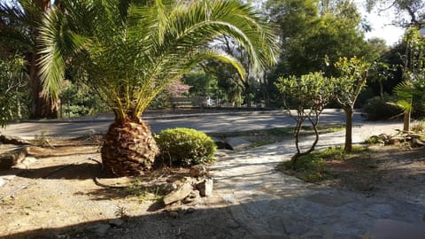 Garden, Garden view