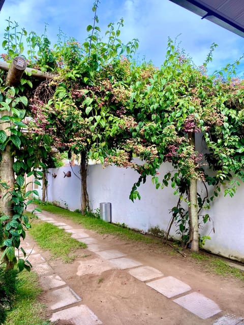 Pousada Paraíso dos Milagres Inn in State of Alagoas, Brazil