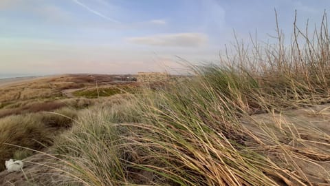 Duinenzicht Eigentumswohnung in Bredene