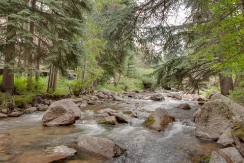 Beautiful East Vail 3 Bedroom Condo w/Hot Tub On shuttle Route. Apartment in Vail