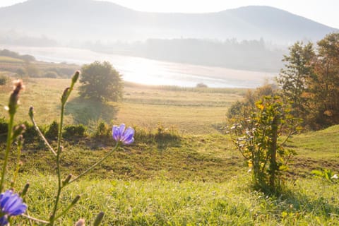 Natural landscape, Summer, Lake view, Lake view, River view, River view