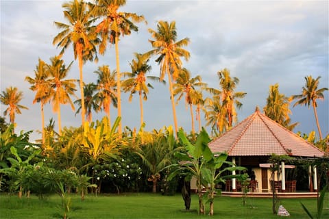 Restaurant/places to eat, Garden