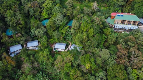 Property building, Natural landscape, Bird's eye view