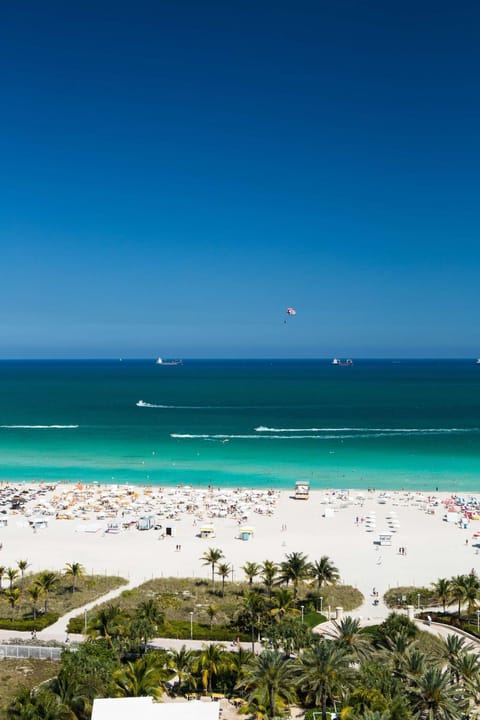 Gale South Beach, Curio Collection By Hilton Resort in South Beach Miami