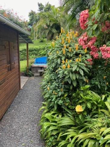 Chalet en bois Haus in Guadeloupe