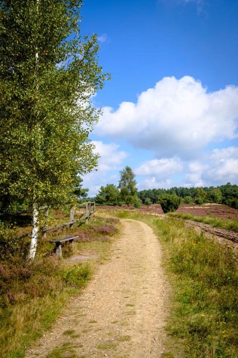 Natural landscape, Horse-riding