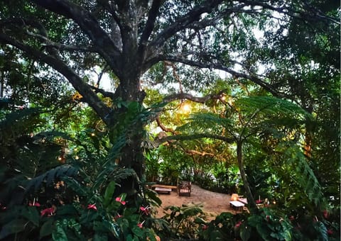 Facade/entrance, Garden, Garden view