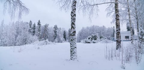 Natural landscape, Winter, Hiking, On site