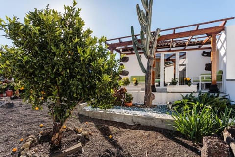 Bungalow Los Laureles House in La Palma