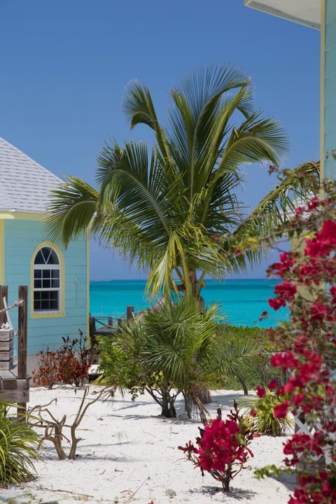 Patio, Sea view