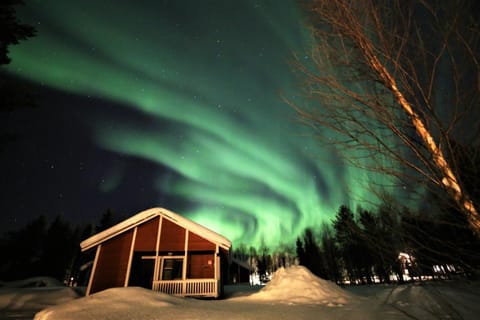 Property building, Natural landscape, Winter