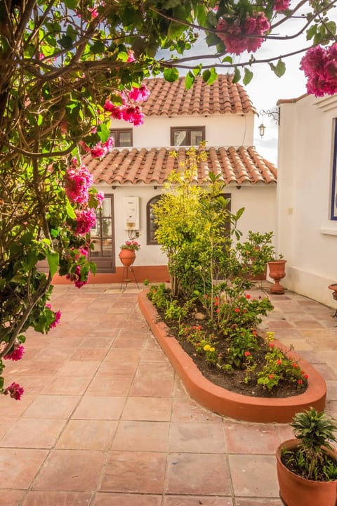 Patio, Balcony/Terrace, Photo of the whole room, Decorative detail