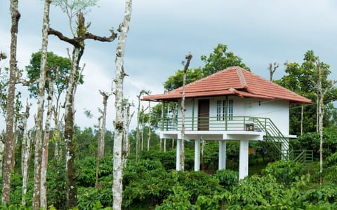 THE SUVISTARA WAYANAD KERALA Übernachtung mit Frühstück in Kerala