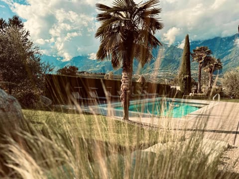 Garden, Pool view