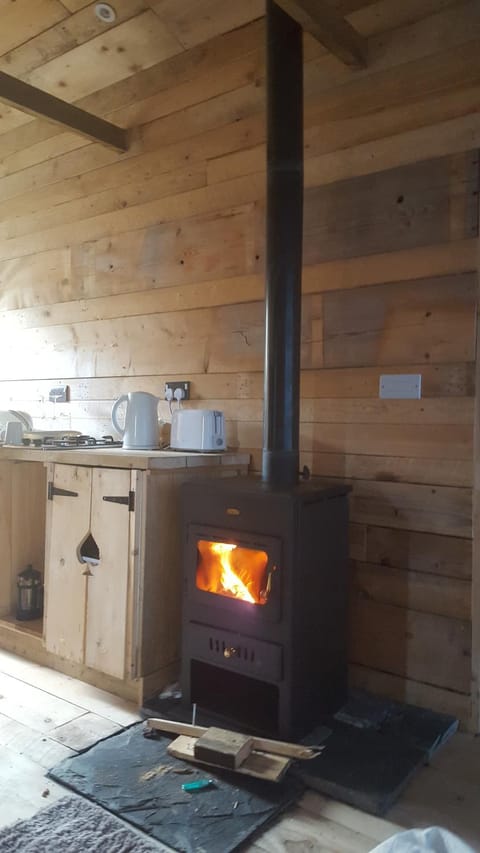 hygge hut Apartment in Wales