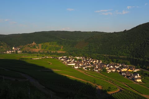 Gästehaus Preuss Apartment in Cochem-Zell