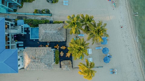 Bird's eye view, Beach, Pool view, Sea view, Swimming pool