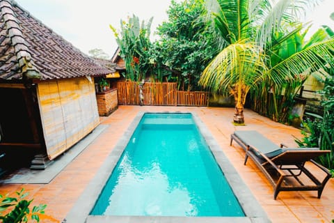 Patio, Day, Garden, Garden view, Pool view, Swimming pool, sunbed