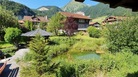 Spring, Day, Natural landscape, Garden, Garden, Garden view