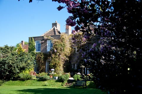 Garden, Garden view