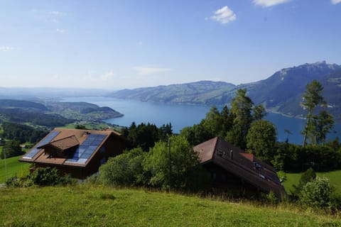 Day, Natural landscape, Bird's eye view, Summer, On site, Lake view