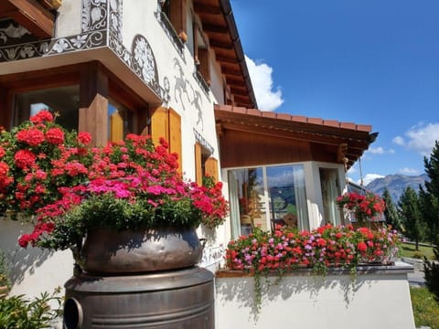 Property building, Facade/entrance, Garden