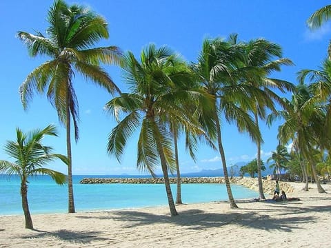 Nearby landmark, Beach